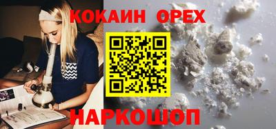 МДПВ Камышлов