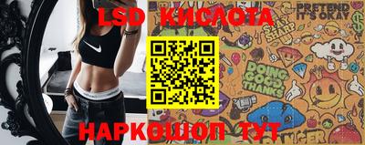 МДПВ Камышлов