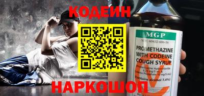 МДПВ Камышлов