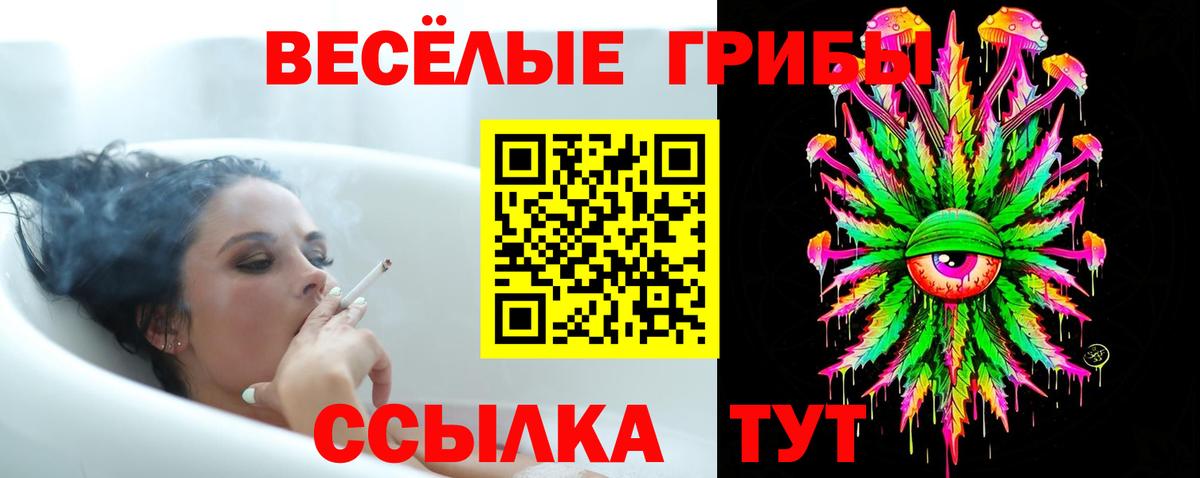 Курчалой  Псилоцибиновые грибы прущие грибы  Вход с VPN 